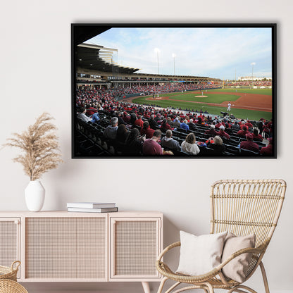 Baum Stadium Crowd, Stadium Canvas, Sport Art, Framed Canvas Print Wall Art, Floating Frame