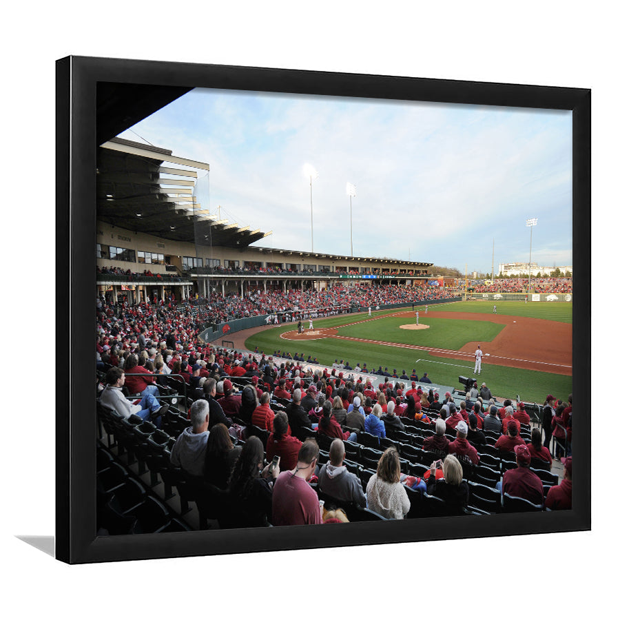 Baum Stadium Crowd, Stadium Canvas, Sport Art, Gift for him, Framed Art Print Wall Decor, Picture Framed