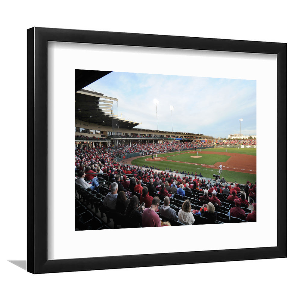 Baum Stadium Crowd, Stadium Canvas, Sport Art, Gift for him, White Border Framed Art Print Wall Decor