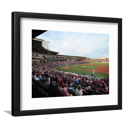 Baum Stadium Crowd, Stadium Canvas, Sport Art, Gift for him, White Border Framed Art Print Wall Decor