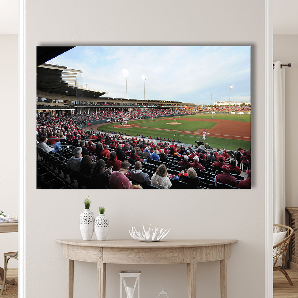 Baum Stadium Crowd, Stadium Canvas, Sport Art, Gift for him, Man Cave Decor, Art Print, Canvas Print Wall Art