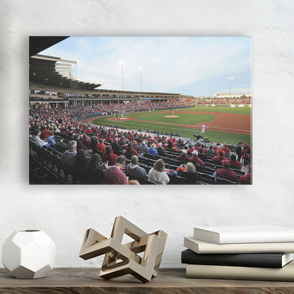 Baum Stadium Crowd, Stadium Canvas, Sport Art, Gift for him, Man Cave Decor, Art Print, Canvas Print Wall Art