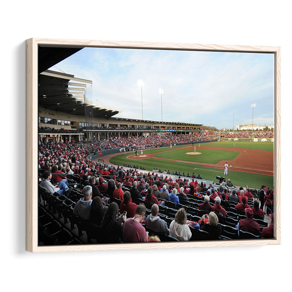 Baum Stadium Crowd, Stadium Canvas, Sport Art, Framed Canvas Print Wall Art, Floating Frame