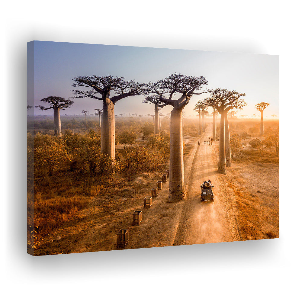Beautiful Baobab Trees Photo ,Trees Canvas Wall Art, Trees Canvas Wall Decor, Cavas Print Wall Art Hom Decor
