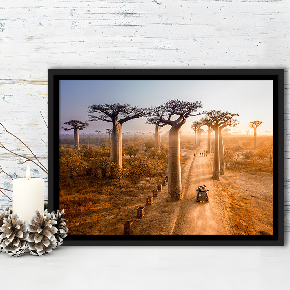 Beautiful Baobab Trees Photo ,Trees Canvas Wall Art, Trees Canvas Wall Decor, Framed Cavas Print, Floating Frame