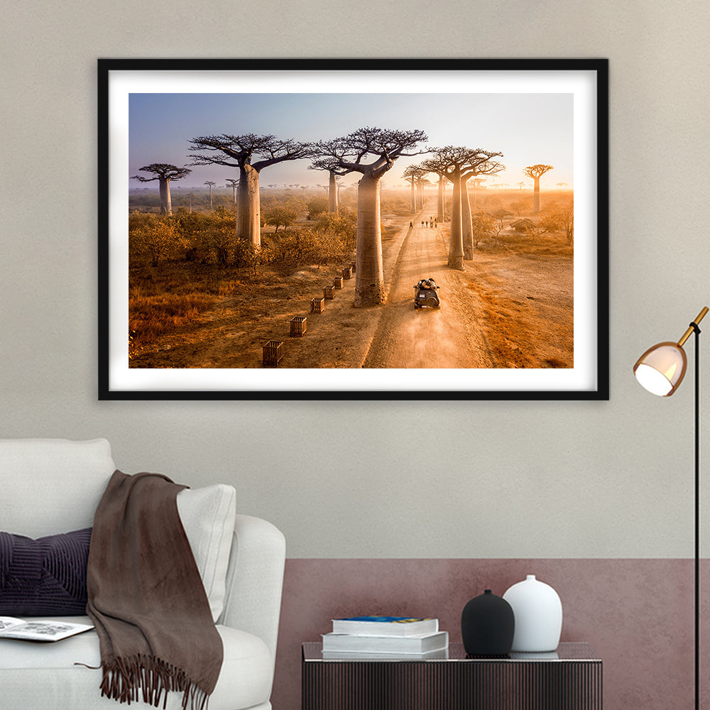 Beautiful Baobab Trees Photo ,Trees Wall Art, Trees Wall Decor, Framed Art Print White Border