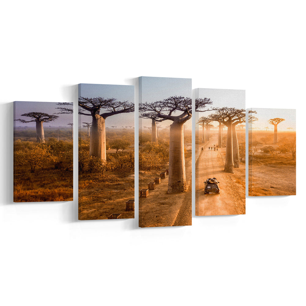 Beautiful Baobab Trees Photo ,Trees Canvas Wall Art, Trees Canvas Wall Decor, 5 Piece Large Cavas Print Wall Art