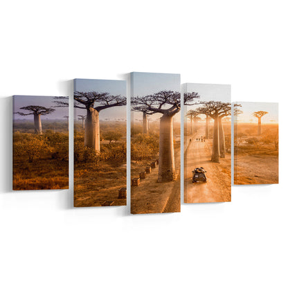 Beautiful Baobab Trees Photo ,Trees Canvas Wall Art, Trees Canvas Wall Decor, 5 Piece Large Cavas Print Wall Art