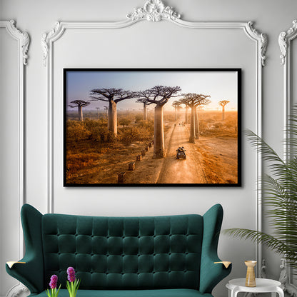 Beautiful Baobab Trees Photo ,Trees Art Wall Art, Trees Art Wall Decor, Framed Art Print, Picture Framed