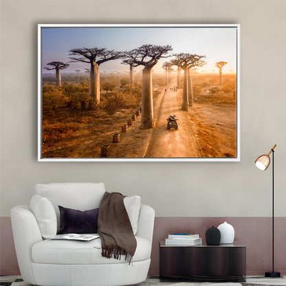Beautiful Baobab Trees Photo ,Trees Canvas Wall Art, Trees Canvas Wall Decor, Framed Cavas Print, Floating Frame