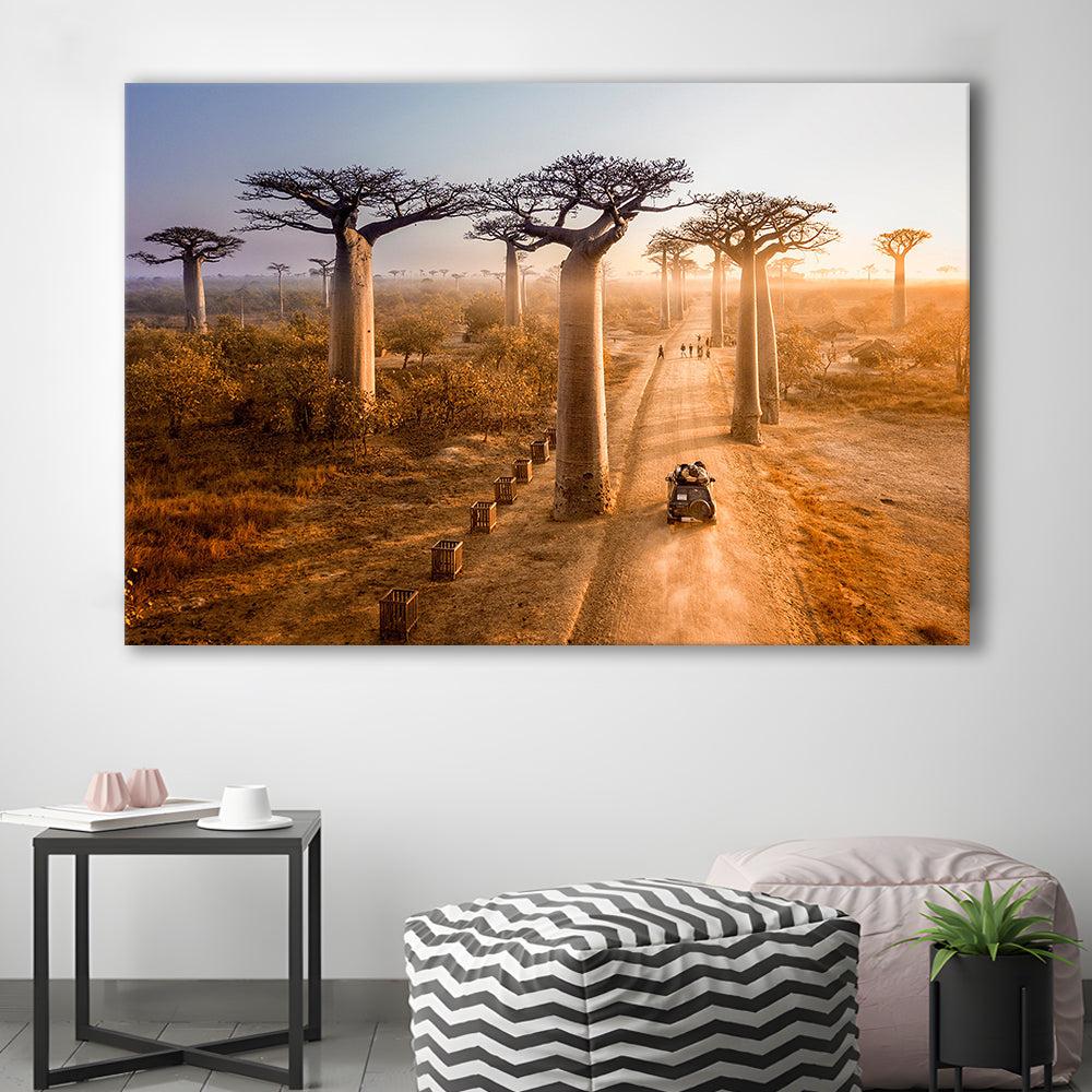 Beautiful Baobab Trees Photo ,Trees Canvas Wall Art, Trees Canvas Wall Decor, Cavas Print Wall Art Hom Decor