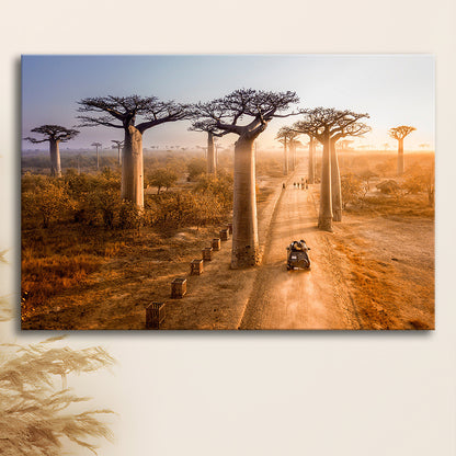 Beautiful Baobab Trees Photo ,Trees Canvas Wall Art, Trees Canvas Wall Decor, Cavas Print Wall Art Hom Decor
