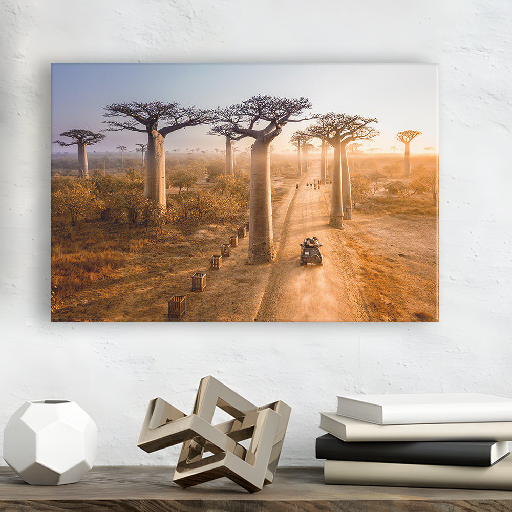 Beautiful Baobab Trees Photo ,Trees Canvas Wall Art, Trees Canvas Wall Decor, Cavas Print Wall Art Hom Decor