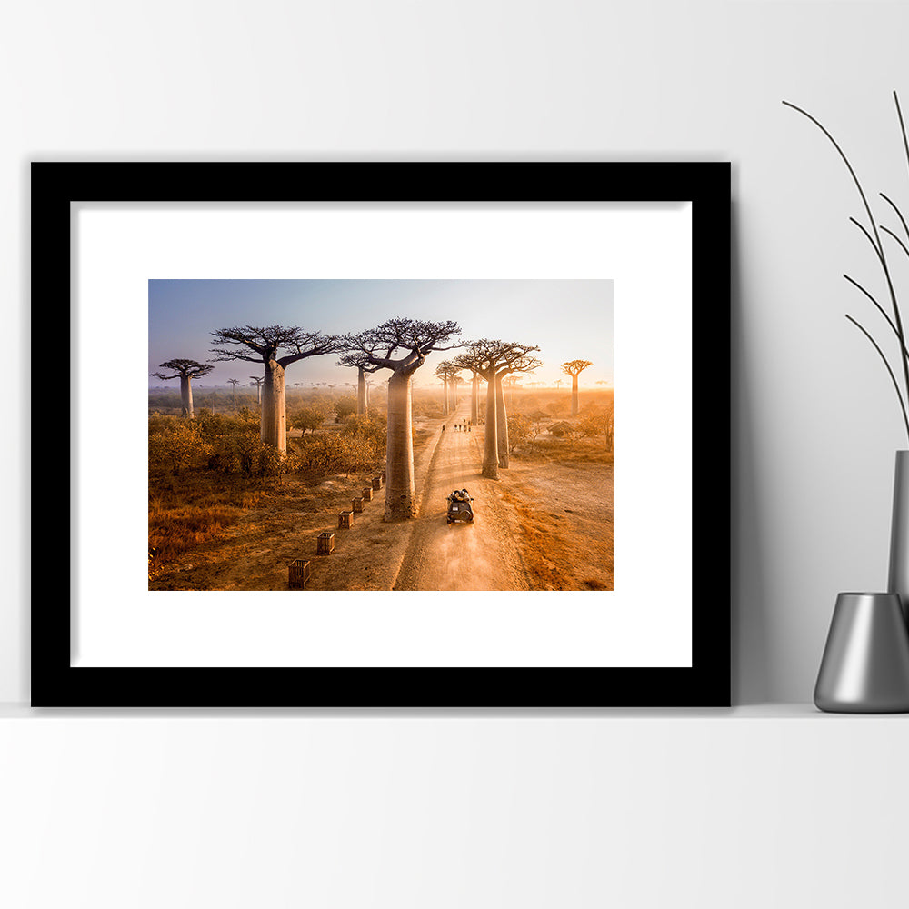 Beautiful Baobab Trees Photo ,Trees Wall Art, Trees Wall Decor, Framed Art Print White Border