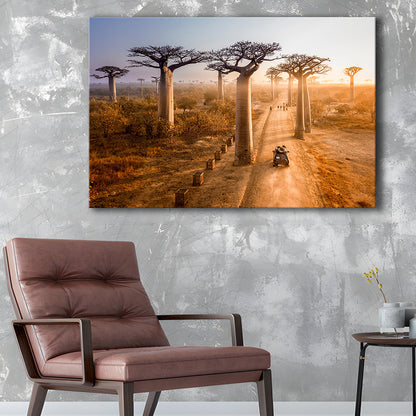 Beautiful Baobab Trees Photo ,Trees Canvas Wall Art, Trees Canvas Wall Decor, Cavas Print Wall Art Hom Decor