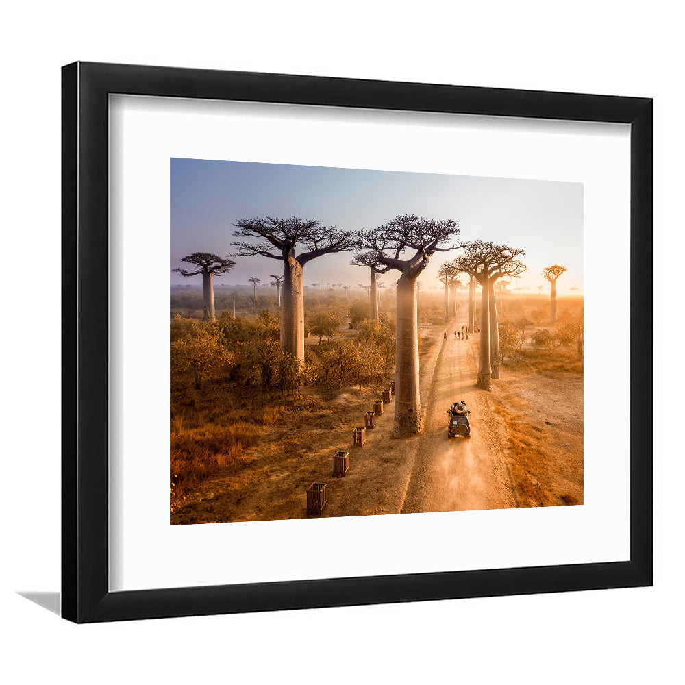 Beautiful Baobab Trees Photo ,Trees Wall Art, Trees Wall Decor, Framed Art Print White Border