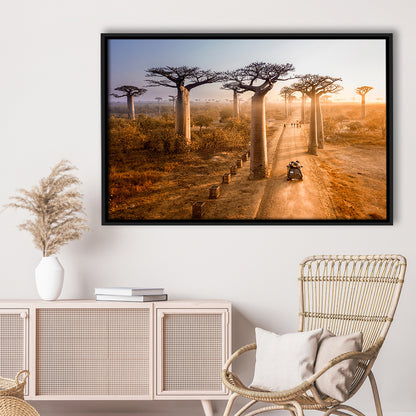 Beautiful Baobab Trees Photo ,Trees Canvas Wall Art, Trees Canvas Wall Decor, Framed Cavas Print, Floating Frame