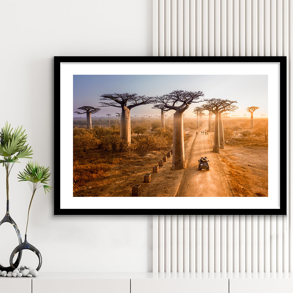 Beautiful Baobab Trees Photo ,Trees Wall Art, Trees Wall Decor, Framed Art Print White Border