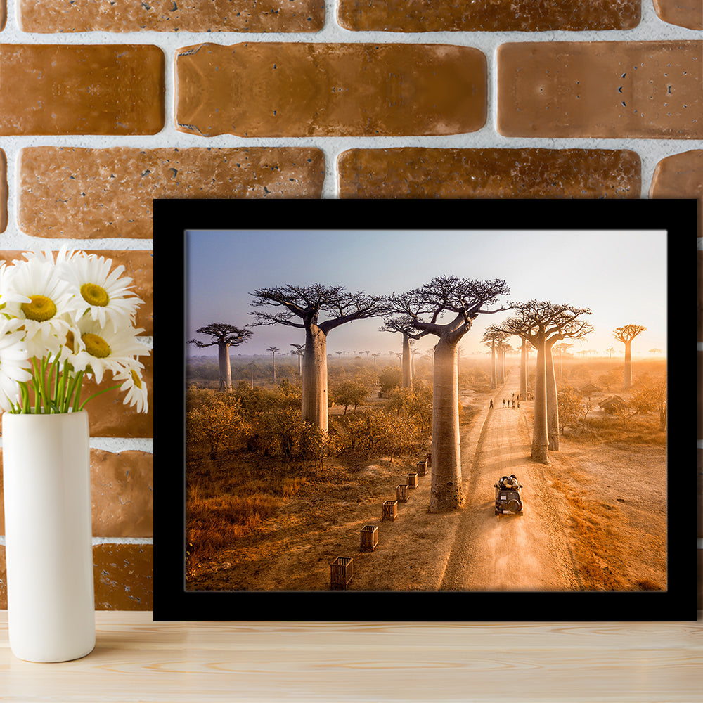 Beautiful Baobab Trees Photo ,Trees Art Wall Art, Trees Art Wall Decor, Framed Art Print, Picture Framed
