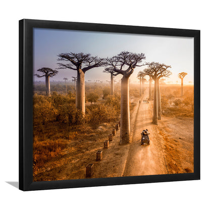 Beautiful Baobab Trees Photo ,Trees Art Wall Art, Trees Art Wall Decor, Framed Art Print, Picture Framed