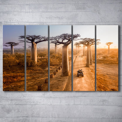 Beautiful Baobab Trees Photo ,Trees Canvas Wall Art, Trees Canvas, 5 Piece B Extra Large Cavas Print Wall Art Decor