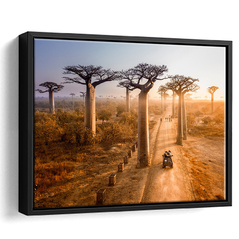 Beautiful Baobab Trees Photo ,Trees Canvas Wall Art, Trees Canvas Wall Decor, Framed Cavas Print, Floating Frame