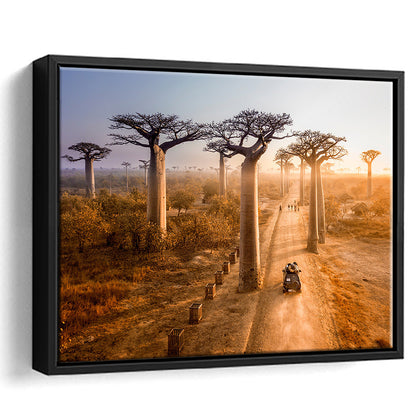 Beautiful Baobab Trees Photo ,Trees Canvas Wall Art, Trees Canvas Wall Decor, Framed Cavas Print, Floating Frame