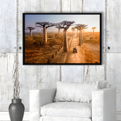 Beautiful Baobab Trees Photo ,Trees Canvas Wall Art, Trees Canvas Wall Decor, Framed Cavas Print, Floating Frame