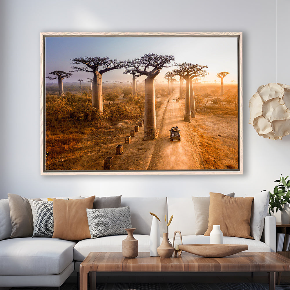 Beautiful Baobab Trees Photo ,Trees Canvas Wall Art, Trees Canvas Wall Decor, Framed Cavas Print, Floating Frame
