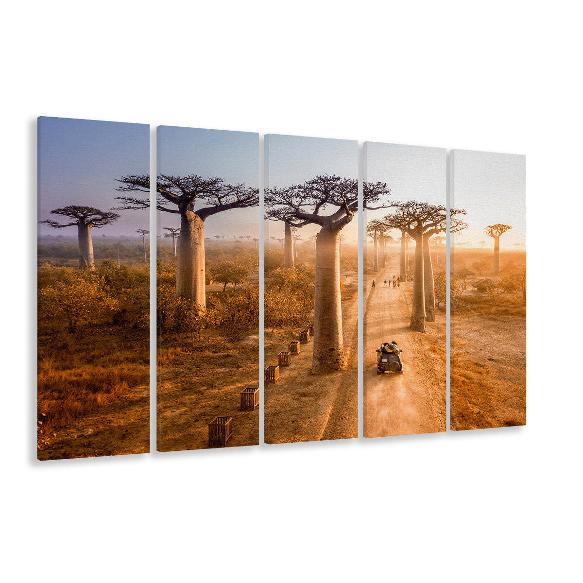 Beautiful Baobab Trees Photo ,Trees Canvas Wall Art, Trees Canvas, 5 Piece B Extra Large Cavas Print Wall Art Decor