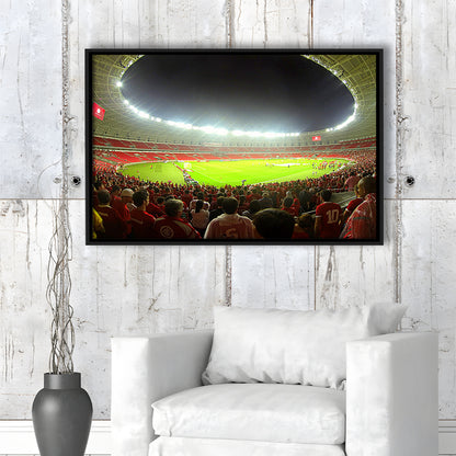 Beira Rio Stadium, Stadium Canvas, Sport Art, Framed Canvas Print Wall Art, Floating Frame