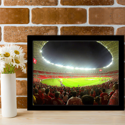Beira Rio Stadium, Stadium Canvas, Sport Art, Gift for him, Framed Art Print Wall Decor, Picture Framed