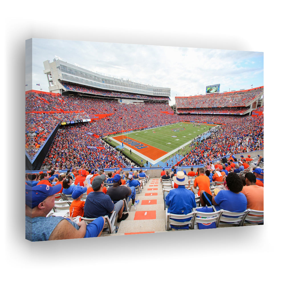 Ben Hill Griffin Football Stadium, Stadium Canvas, Sport Art, Gift for him, Man Cave Decor, Art Print, Canvas Print Wall Art