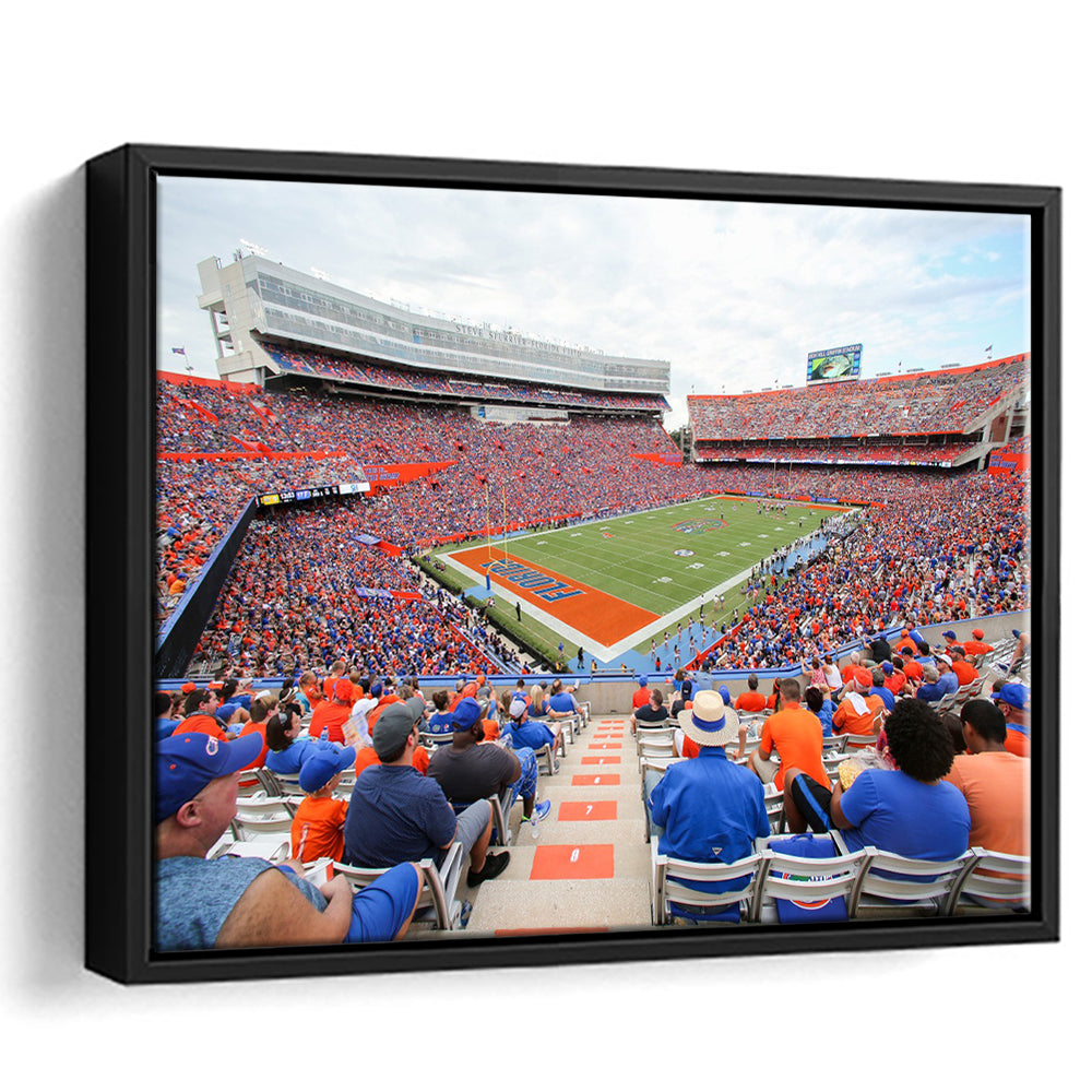 Ben Hill Griffin Football Stadium, Stadium Canvas, Sport Art, Framed Canvas Print Wall Art, Floating Frame