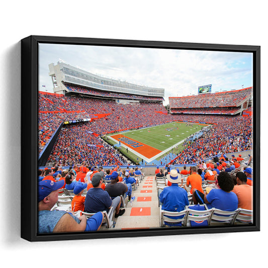 Ben Hill Griffin Football Stadium, Stadium Canvas, Sport Art, Framed Canvas Print Wall Art, Floating Frame