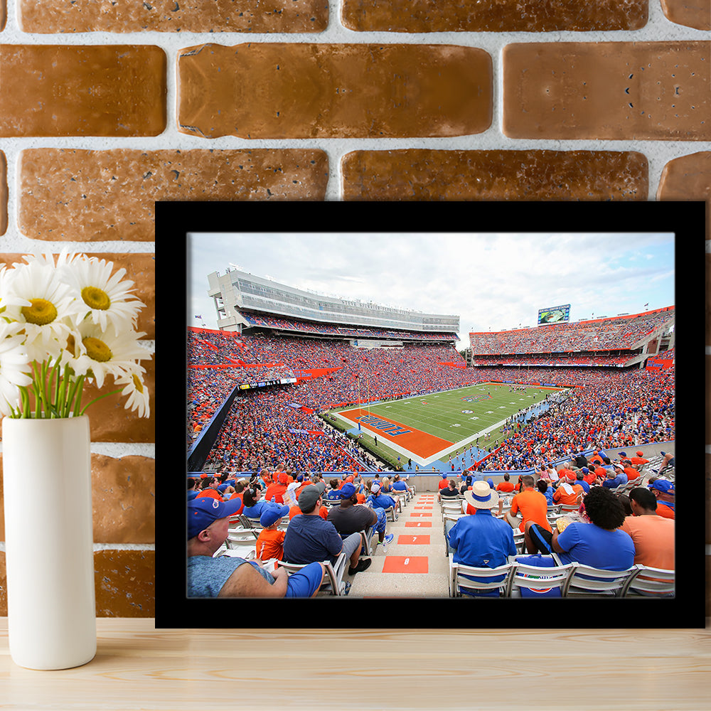 Ben Hill Griffin Football Stadium, Stadium Canvas, Sport Art, Gift for him, Framed Art Print Wall Decor, Picture Framed