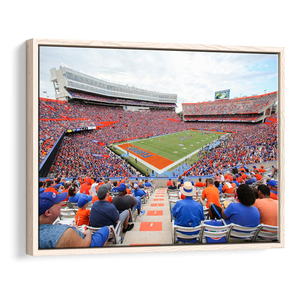 Ben Hill Griffin Football Stadium, Stadium Canvas, Sport Art, Framed Canvas Print Wall Art, Floating Frame
