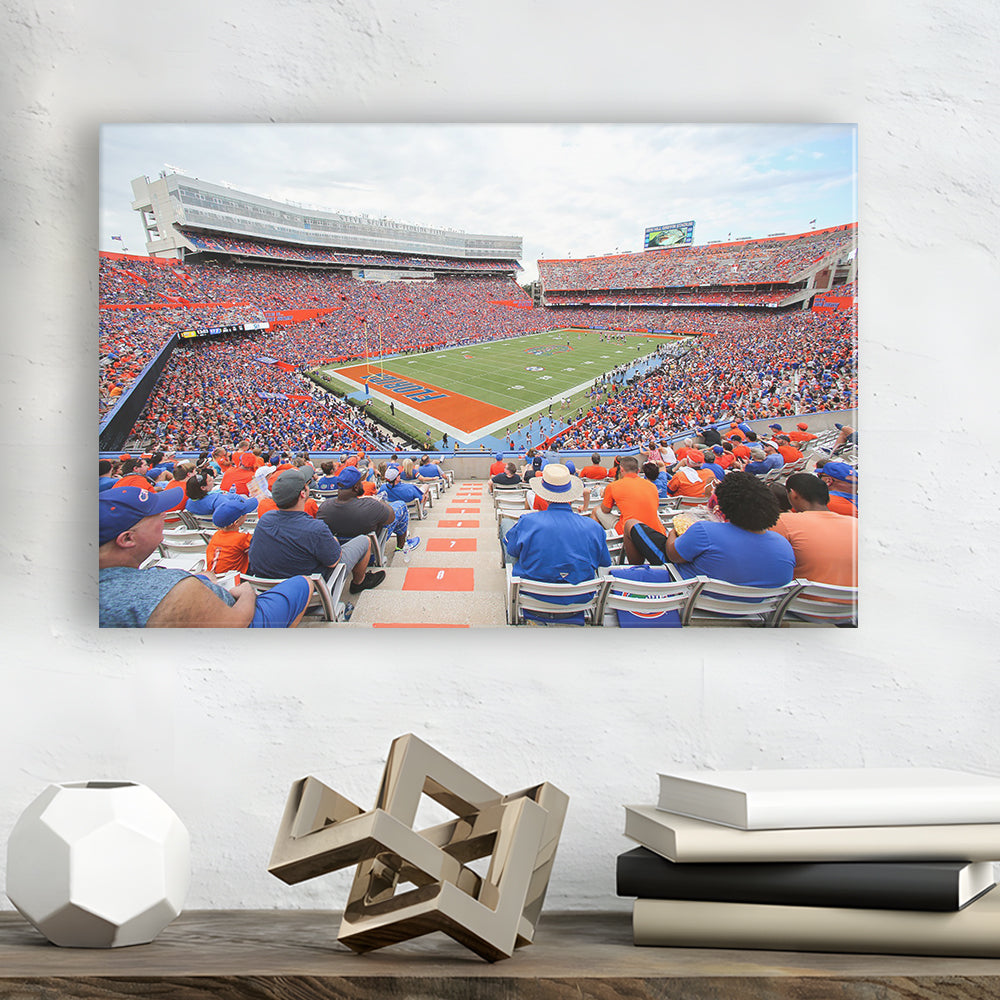 Ben Hill Griffin Football Stadium, Stadium Canvas, Sport Art, Gift for him, Man Cave Decor, Art Print, Canvas Print Wall Art