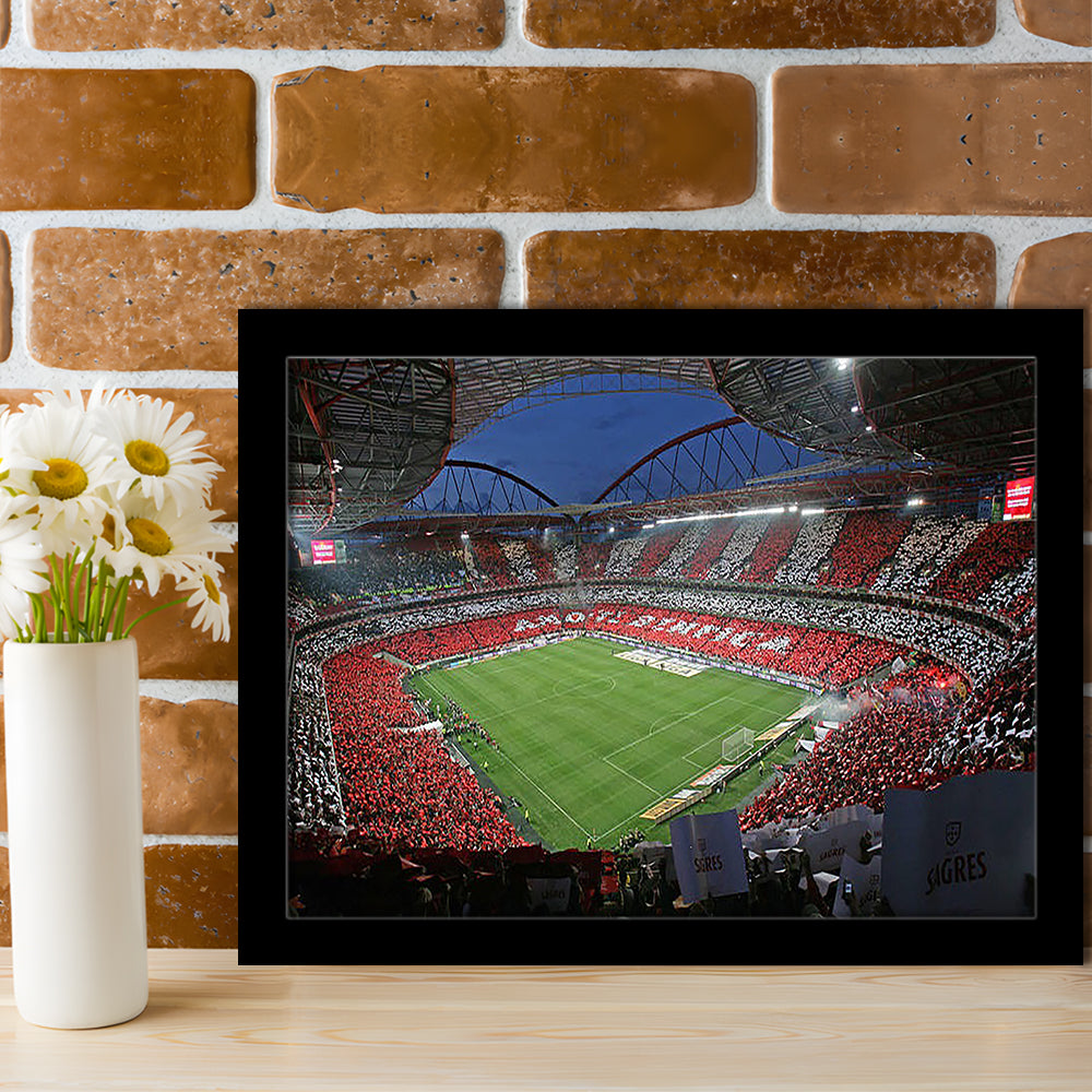 Benfica Stadium, Stadium Canvas, Sport Art, Gift for him, Framed Art Print Wall Decor, Picture Framed