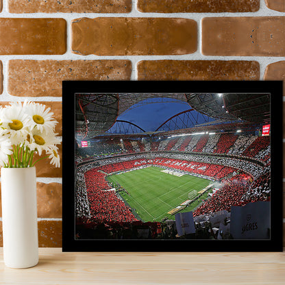 Benfica Stadium, Stadium Canvas, Sport Art, Gift for him, Framed Art Print Wall Decor, Picture Framed
