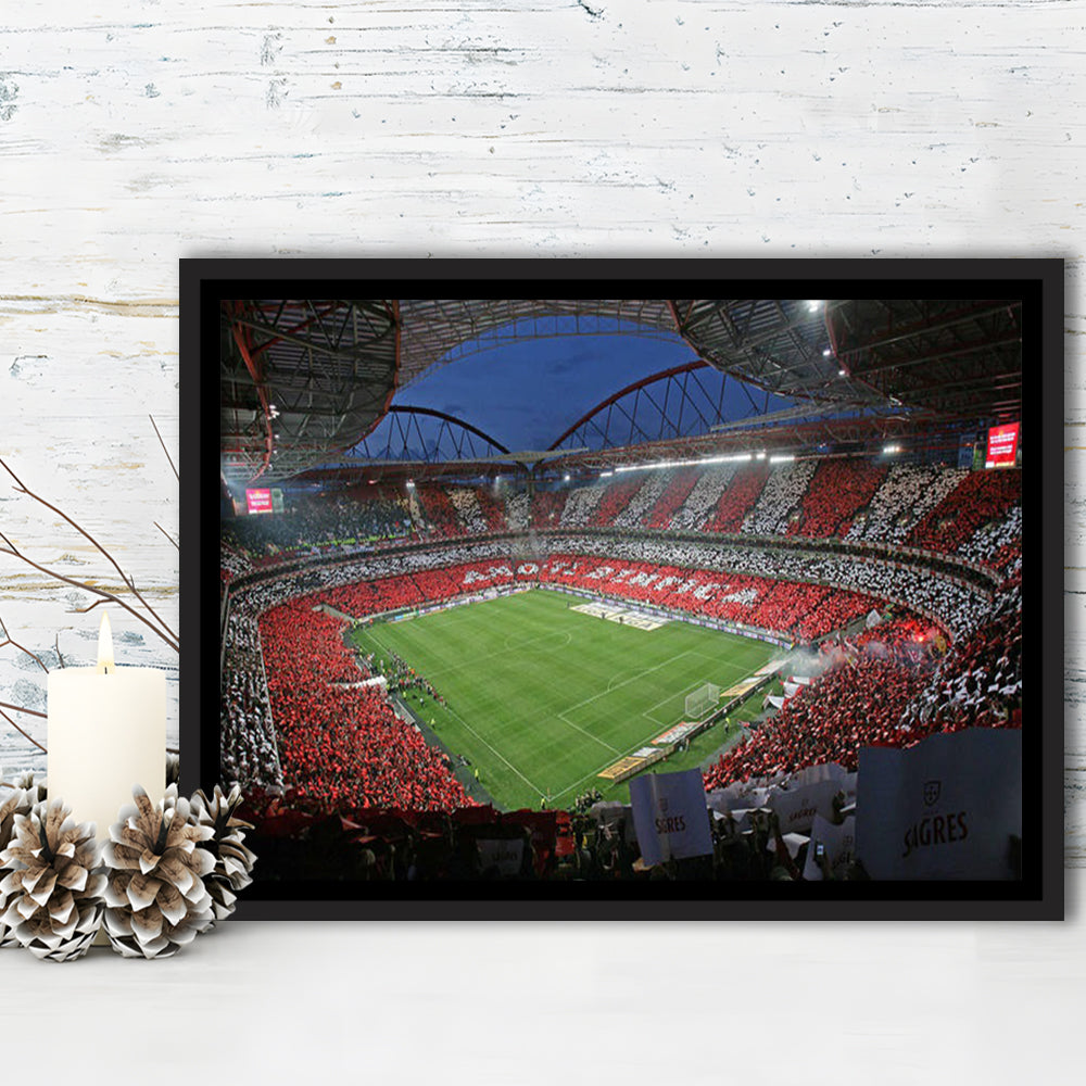 Benfica Stadium, Stadium Canvas, Sport Art, Framed Canvas Print Wall Art, Floating Frame