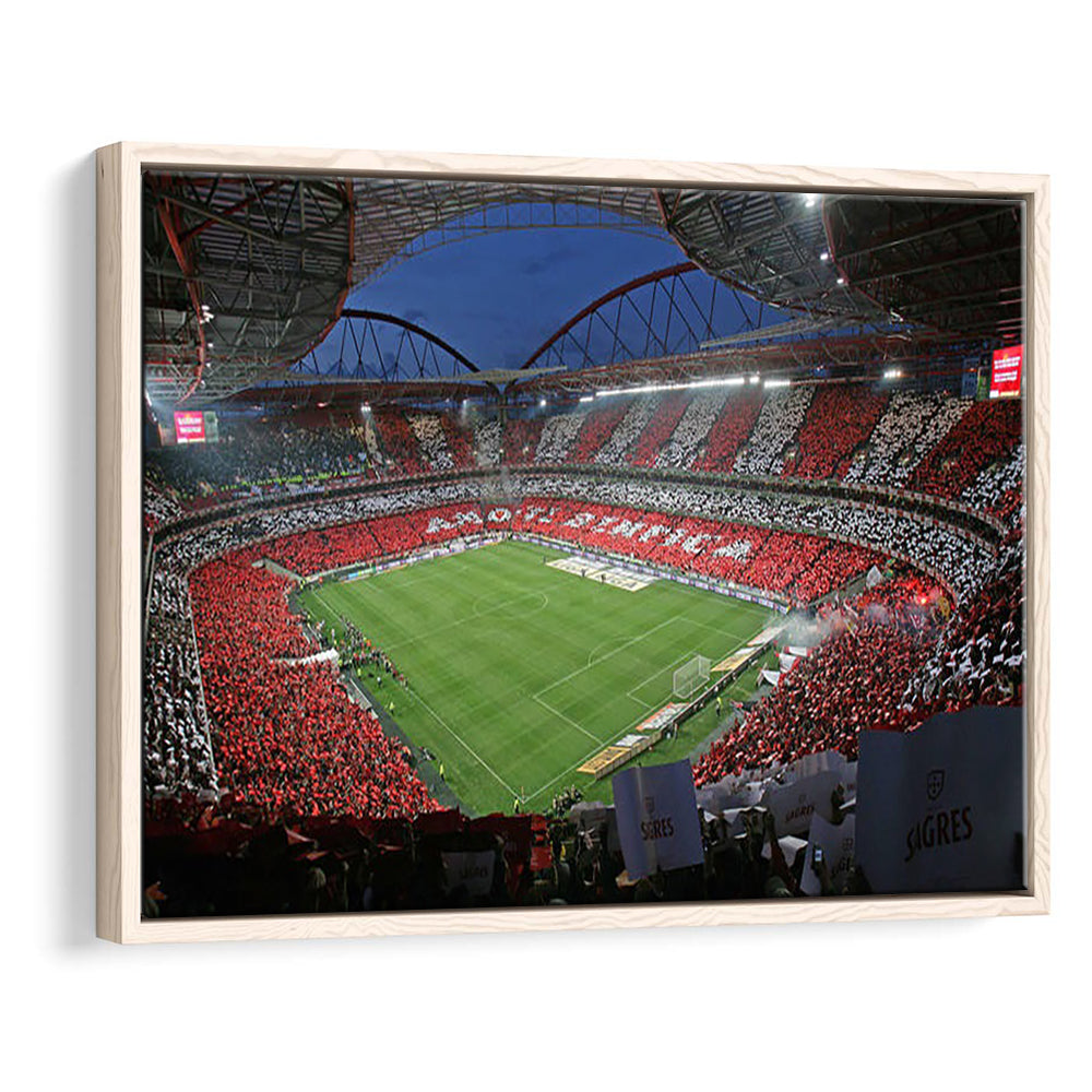 Benfica Stadium, Stadium Canvas, Sport Art, Framed Canvas Print Wall Art, Floating Frame