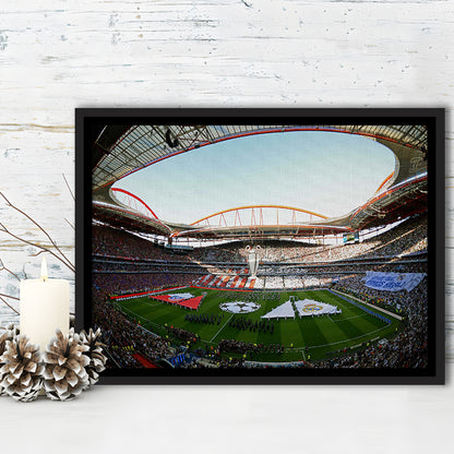 Benfica World Soccer Stadium, Stadium Canvas, Sport Art, Framed Canvas Print Wall Art, Floating Frame