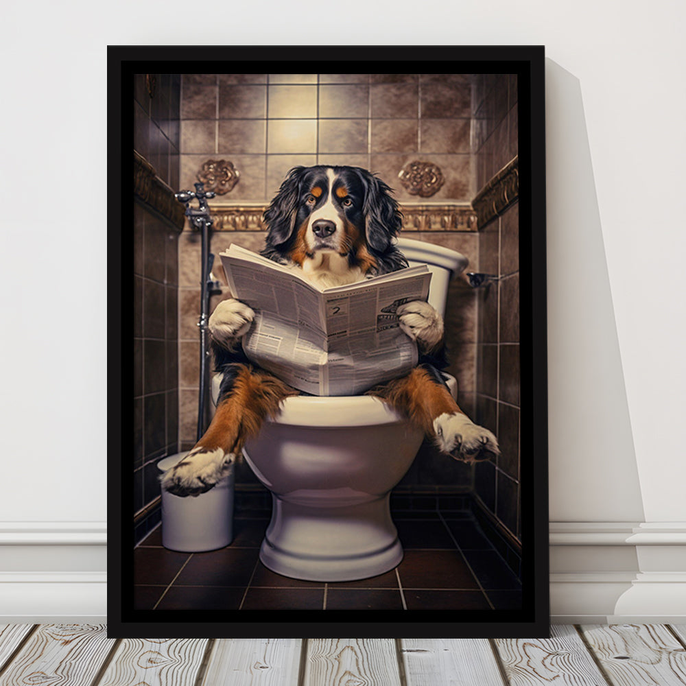 Bernese Mountain Dog On The Toilet Reading Newspaper, Framed Canvas Print Wall Art, Floating Frame