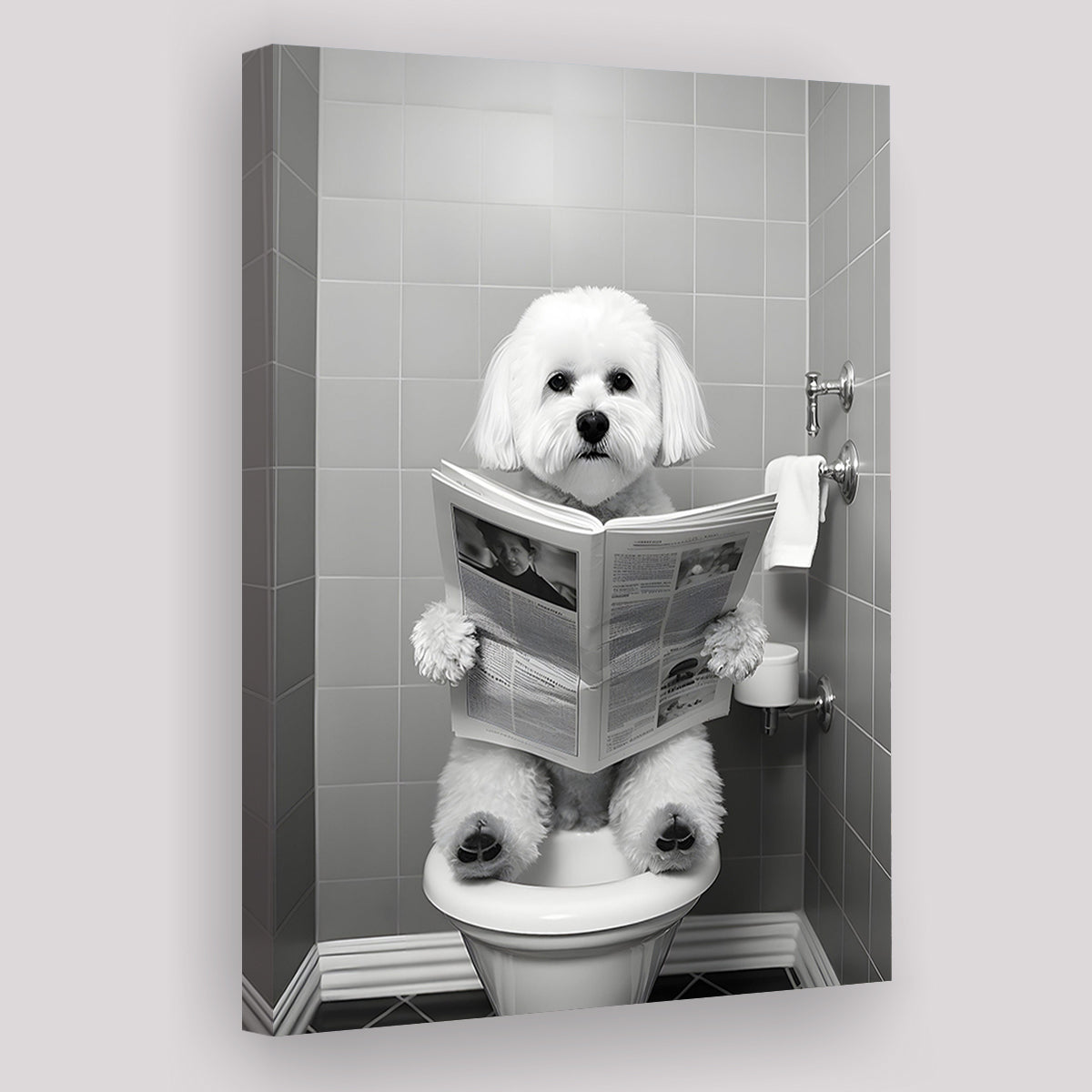 Bichon Frise Canvas Prints Wall Art, Funny Bathroom Decor, Bichon Frise in Toilet