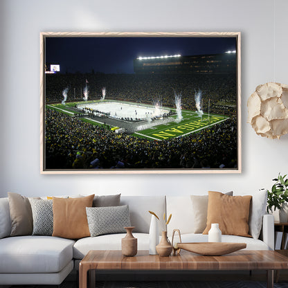 Big Chill in Michigan, Stadium Canvas, Sport Art, Framed Canvas Print Wall Art, Floating Frame
