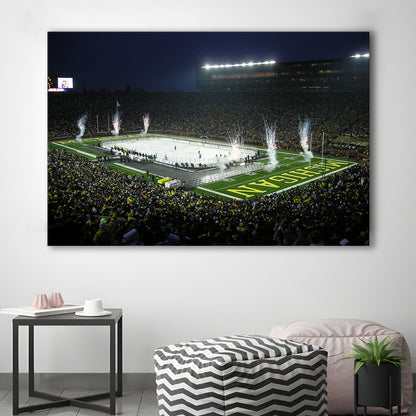 Big Chill in Michigan, Stadium Canvas, Sport Art, Gift for him, Man Cave Decor, Art Print, Canvas Print Wall Art