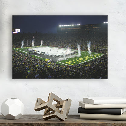 Big Chill in Michigan, Stadium Canvas, Sport Art, Gift for him, Man Cave Decor, Art Print, Canvas Print Wall Art