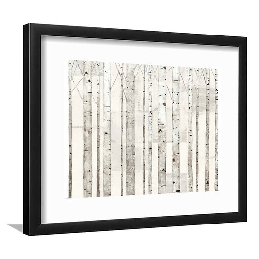 Birch Trees On White Wall Art, Framed Art Print White Border, Framed Picture