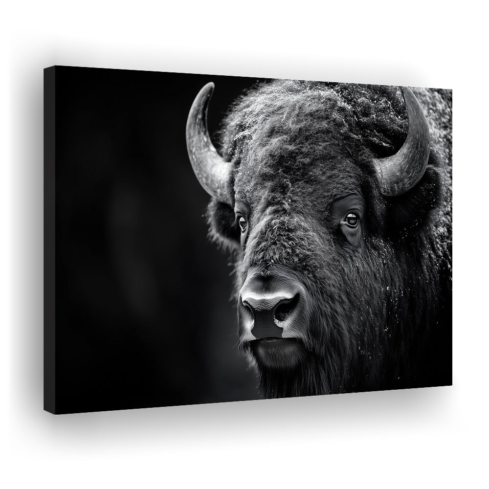 Bison Close up Portrait Black and White, Canvas Art Decor Print, Painting Art, Canvas Print Wall Art Home Decor
